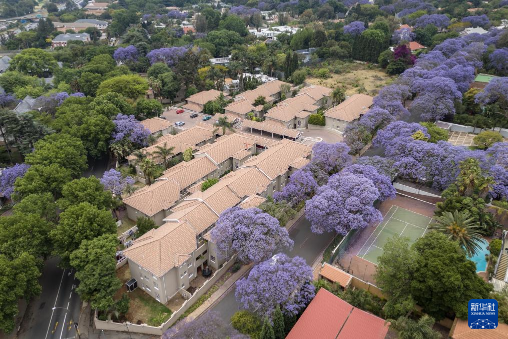 �@��10��22�����ϷǼs����˹���Ĕz��ʢ�_���{��麣��o�˙C��Ƭ����